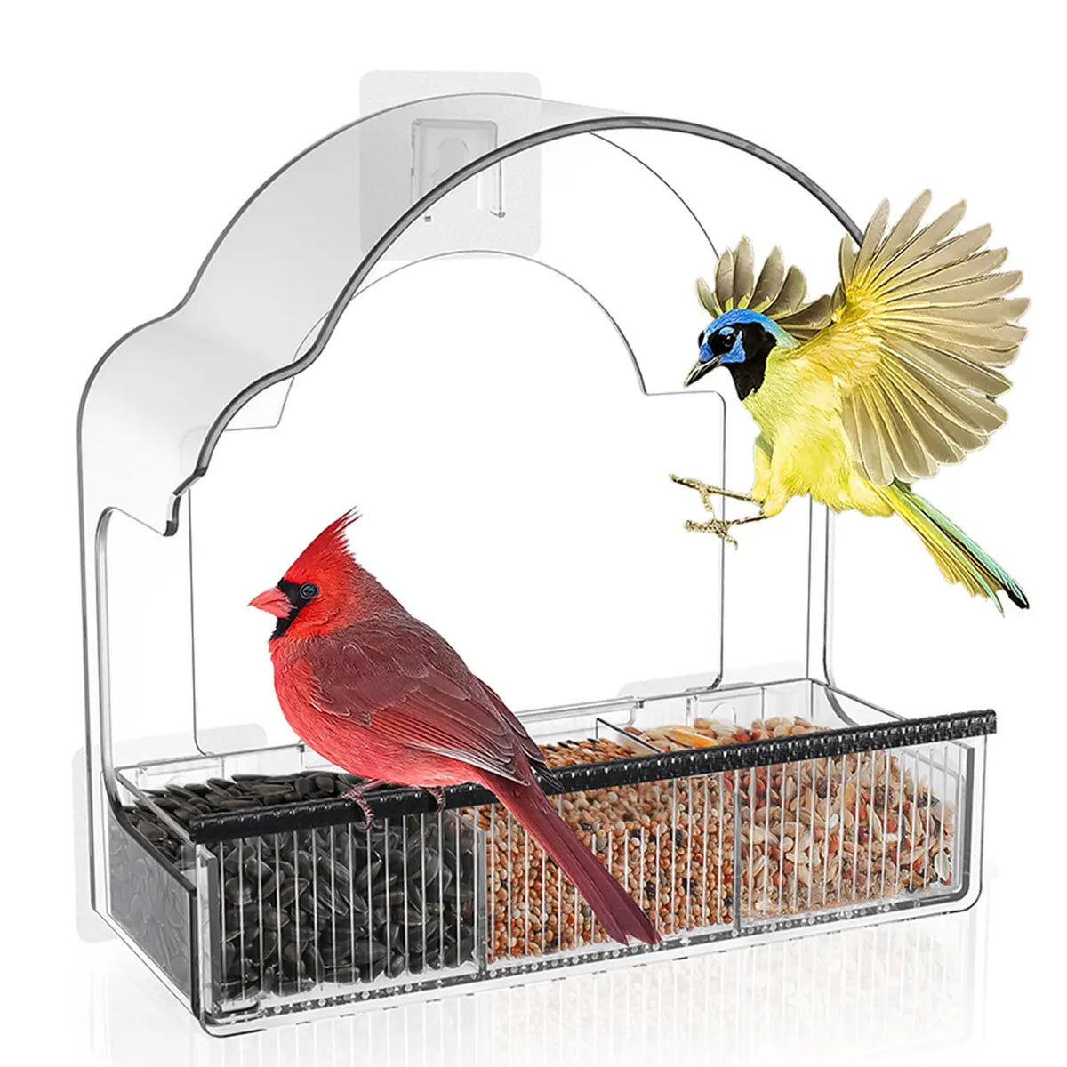 Blinkit 0162 Futterhäuschen für den Fensterrahmen – Acryl – 6 Saugnäpfe