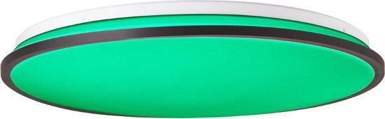 Brilliant Deckenleuchte Heida RGB Ø 49cm - G99786/06