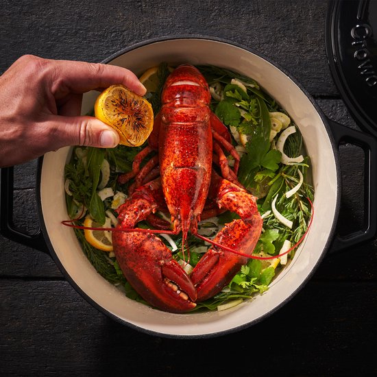 Crowd Cookware Tasman Dutch Oven Gusseisen Bräter – Mit Grilldeckel – Für alle Herdarten – Schwarz