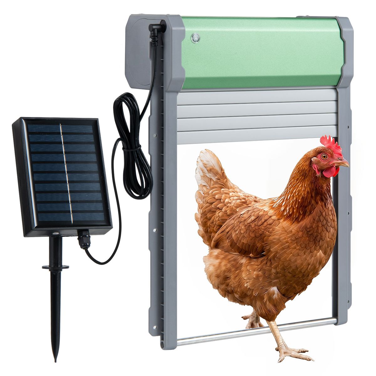 Coast Automatische Hühnerklappe – solarbetrieben – 4 Betriebsmodi – grün und silber