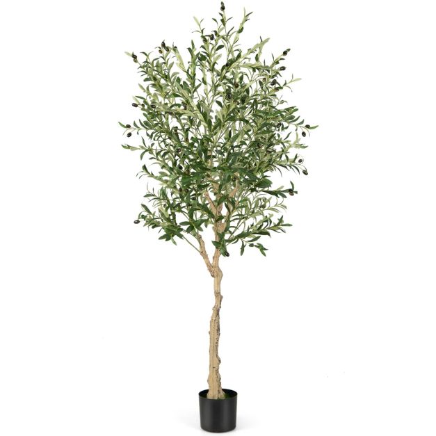 Coast Künstlicher Olivenbaum - 182 cm - 1296 Blätter - Zementtopf