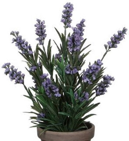 Mica Decorations Kunstpflanze Lavendula/Lavendel – grün/lila – D22 x H33 cm – grauer Topf – Zimmerpflanze – Kunstblumen