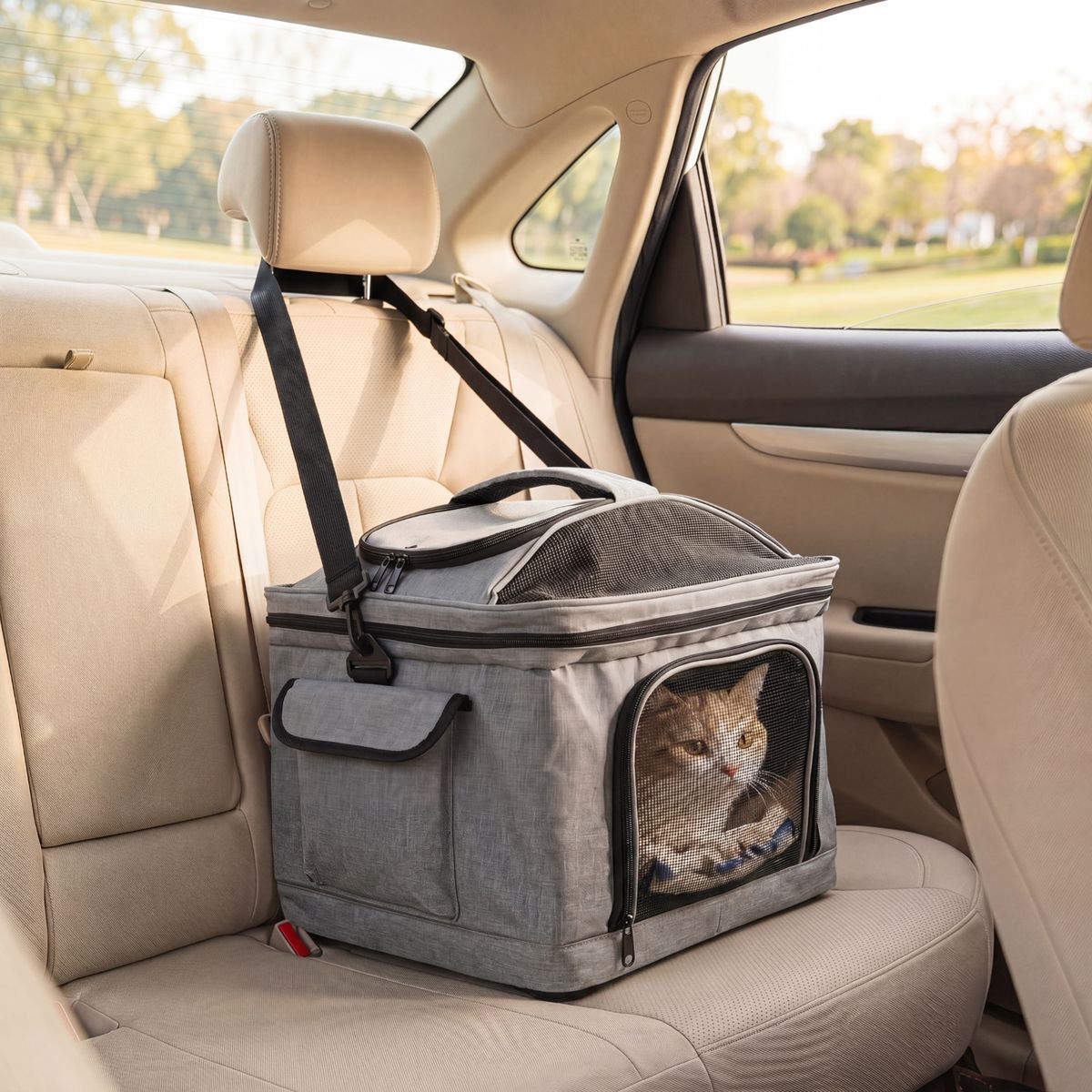 Coast Faltbare Transportbox für Katzen und kleine Hunde – mit Rollen – 3 Tragevarianten – grau