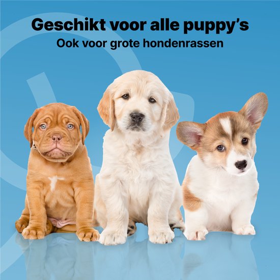 Jake and Jacky 240 Puppy Training Pads 60 x 90 cm - mit Klebestreifen - Toilettentraining Hund - Hundetoilette - Pinkelpads Hund - Extra Large