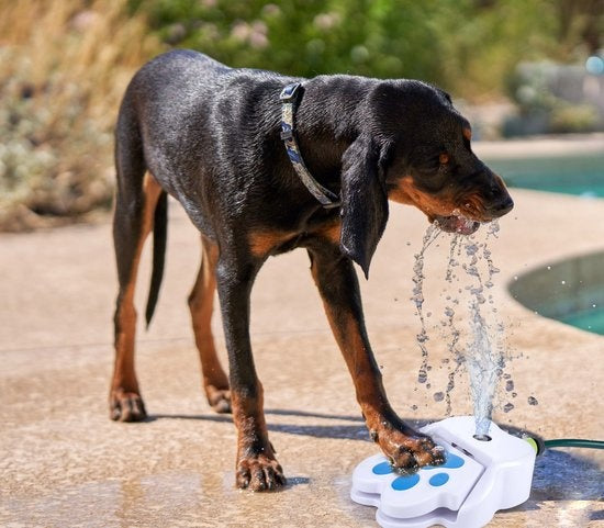 maxxpro Wasserfontäne mit Pedal - inkl. Sprinkler Gartenschlauchanschluss - Spielzeug für draußen
