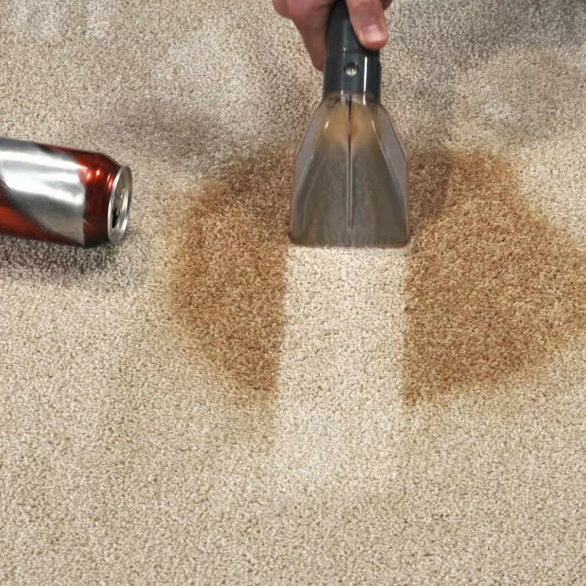 Livington SpotBlast Waschsauger – Doppeltanksystem – Kompakt und leicht – Vortex-Technologie