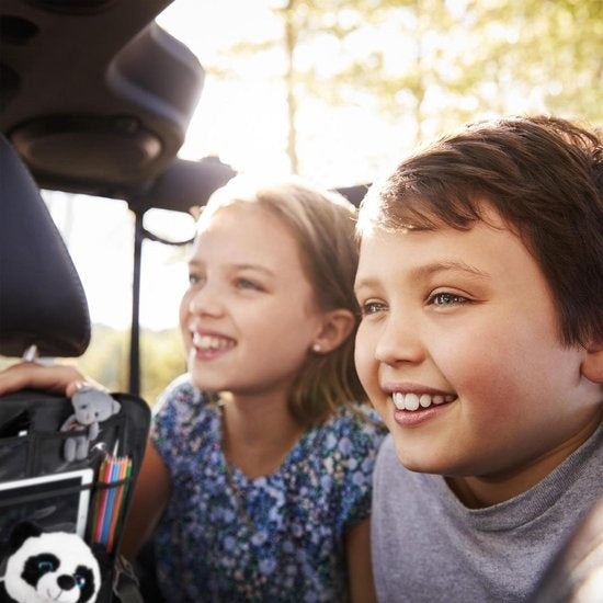 relaxdays Autositz-Organizer - 2er-Set - Sitz-Organizer Auto - Tablet-Halter schwarz