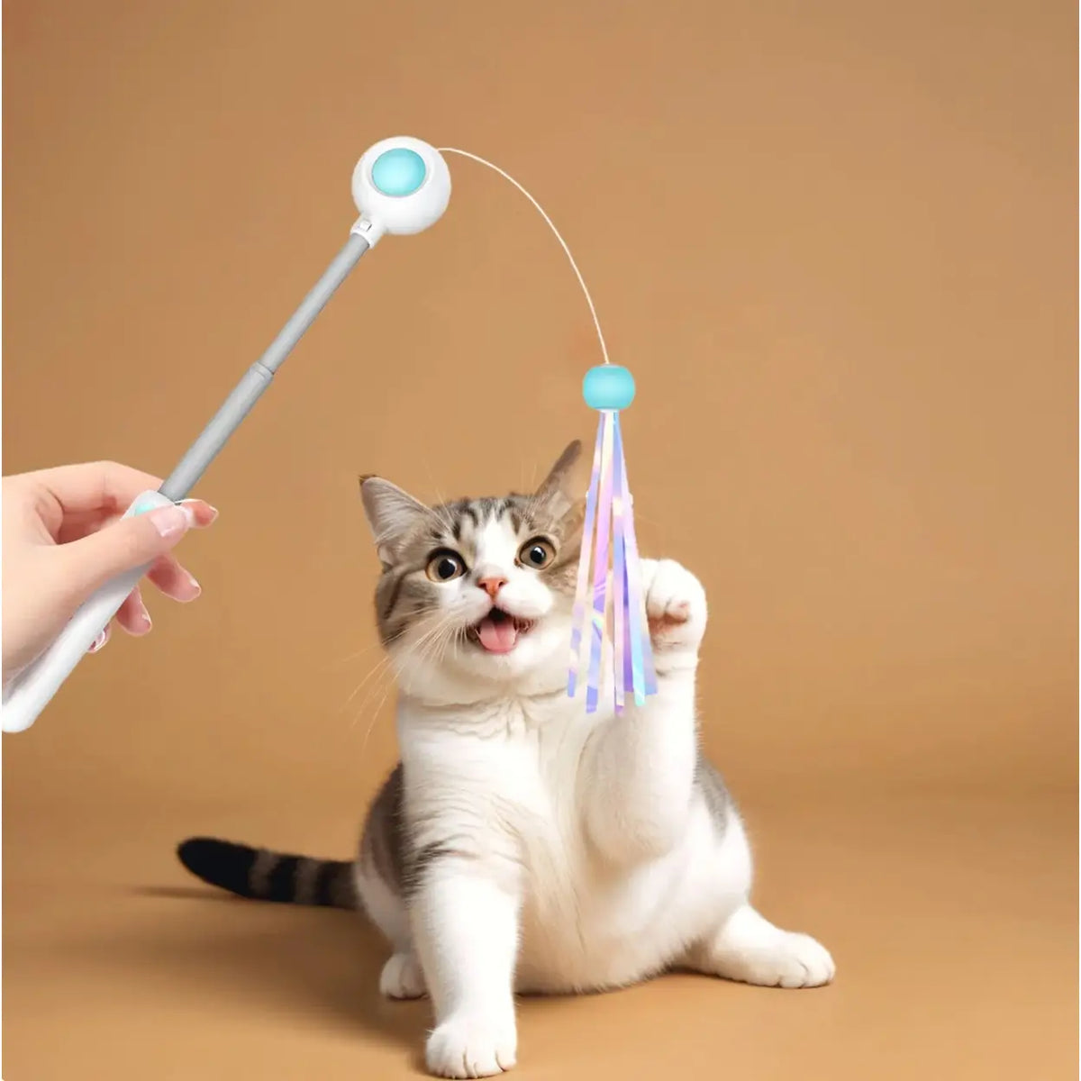 Petgravity ausziehbare Katzenangel – blau