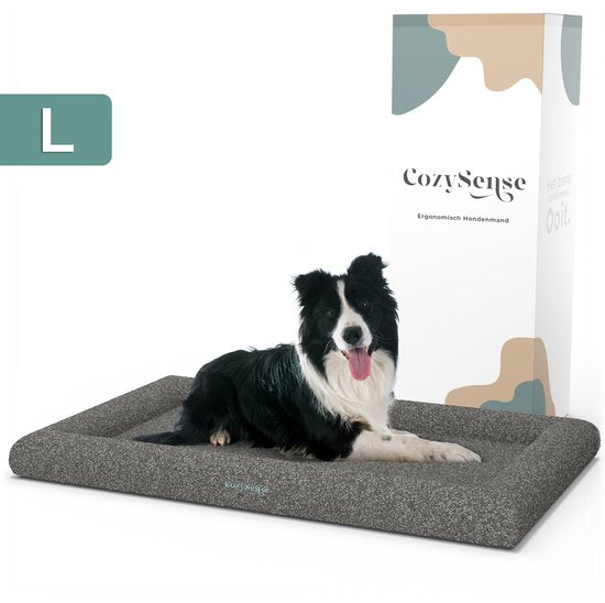 CozySense® Orthopädischer Hundekorb - 90 x 54 cm - Größe L - Bouclé-Stoff - Wasserdichtes Hundebett mit waschbarem Bezug - Als Sitzkissen geeignet - Grau