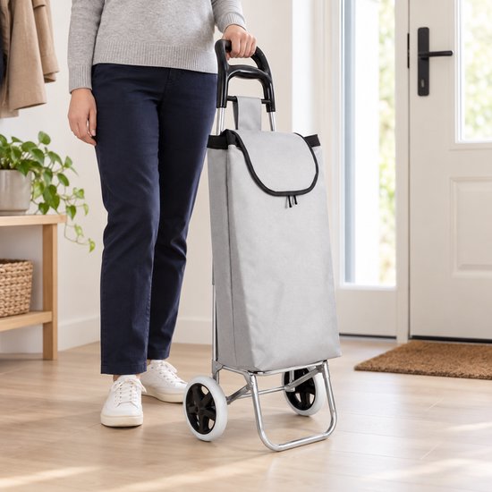BE strong Einkaufswagen 25 l – 2 Räder – Grau