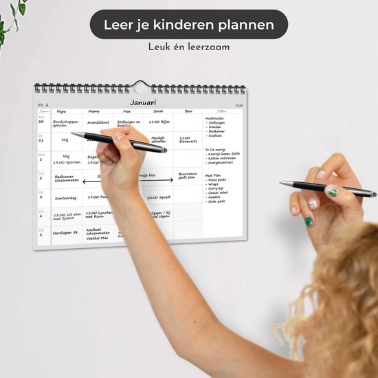 Systemyze Family Planner Basic 2025 - Planer - Wochenplaner - Familienplaner - Undatiert - Grau