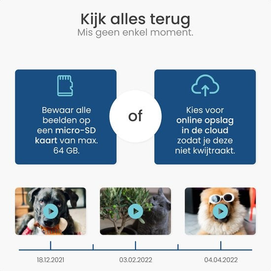 Gologi Haustierkamera - Hundekamera - Haustierkamera - Sicherheitskamera - Sicherheitskamera - Für alle Haustiere - Mit Wifi