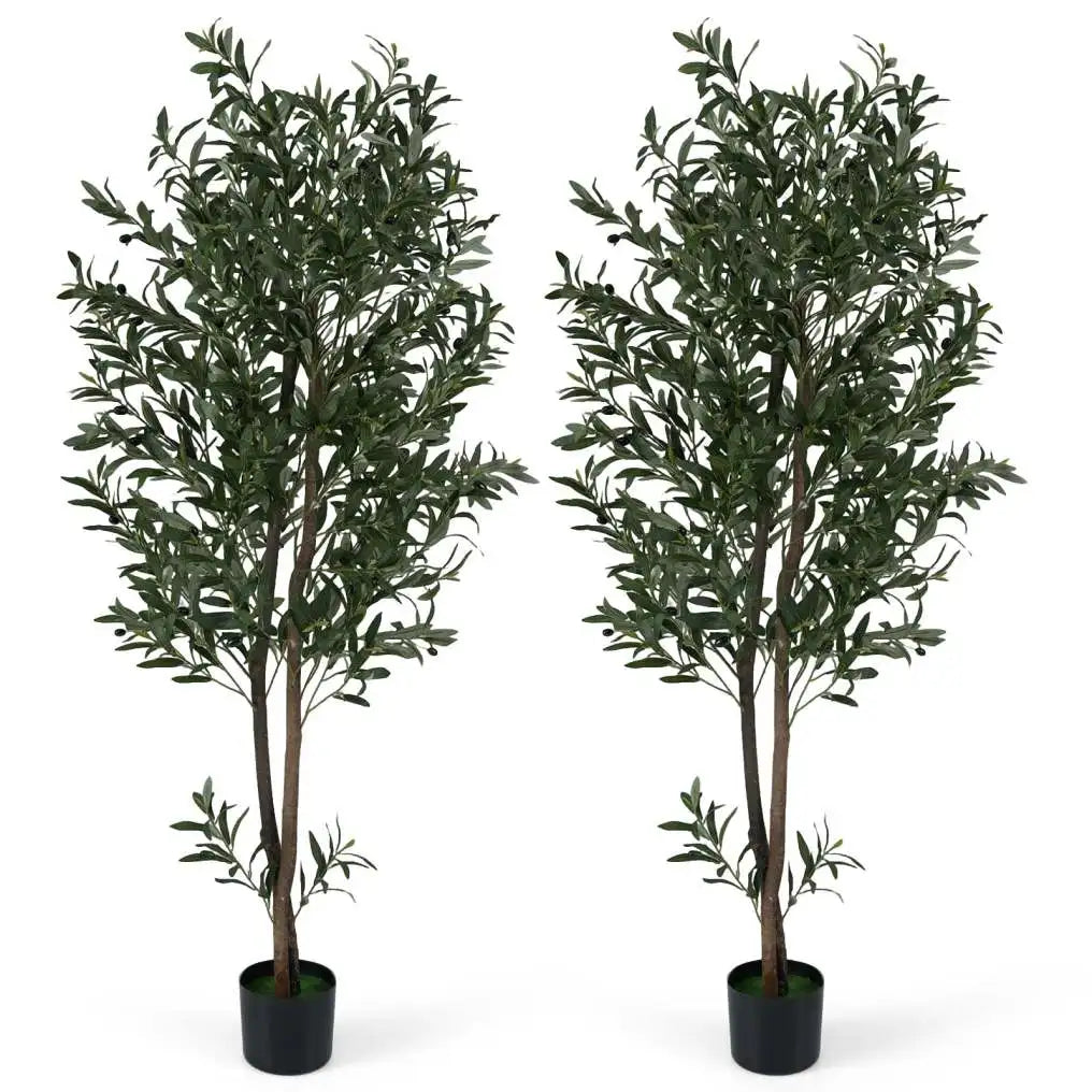 Coast Künstlicher Olivenbaum, 2er-Set – Mit zementverstärktem Topf, biegsamen Zweigen und realistischen Oliven – Für Wohnzimmer und Büro – Grünes und schwarzes Polyester – 180 cm hoch