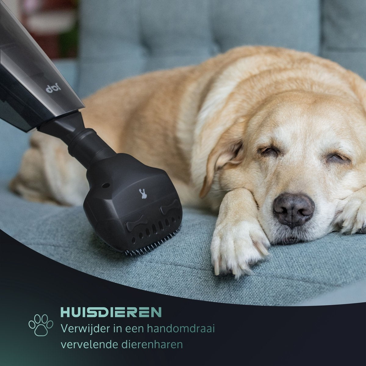 JAP Tornado S3C - Fest und flüssig - Alles in einem Handstaubsauger - Auto, Haustiere und Haus - Kabellos - Beutelloser Staubsauger - 5 Köpfe - 22.2V - Carbon