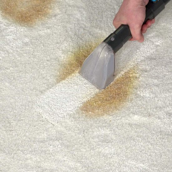 Lvington Spot Blast Wasserstaubsauger – Teppichreiniger – Polsterreiniger für Auto oder Sofa – Reinigungsgerät – 650 W – Textilreiniger – Entfernt Flecken – Reinigt, schrubbt und saugt – Intelligentes Doppeltanksystem