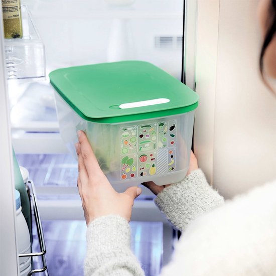 Tupperware Fridge Smart 4,4 l – Frischhaltebehälter – BPA-frei – Vorratsbehälter – Lunchbox – Kunststoffbehälter – Lebensmittelbehälter – Lebensmittel bleiben doppelt so lange frisch