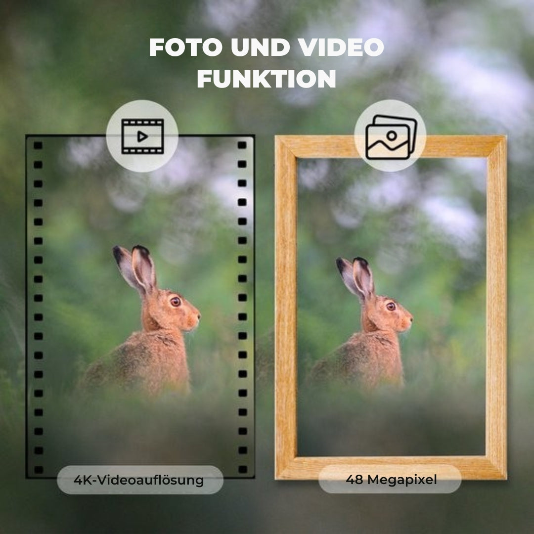 Denver Wildkamera mit Nachtsicht und WiFi - 4K Ultra HD - LCD-Bildschirm - Wasserdicht - WCT8026