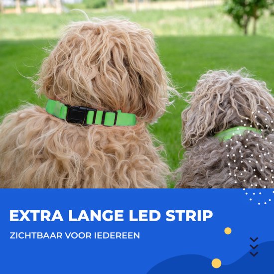 Dutchwide Leuchthalsband Hund - Extra Stark - XS 28 cm bis 38 cm - Hundehalsband - Schnapphalsband - Verstellbar - Reflektierend