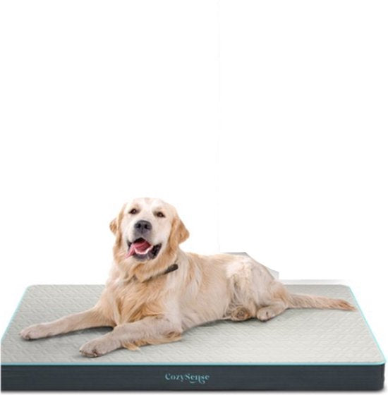 CozySense® - Orthopädisches Hundekissen 60 X 40 Cm - Größe S - Wasserdicht - Geeignet als Sitzkissen & Hundebett