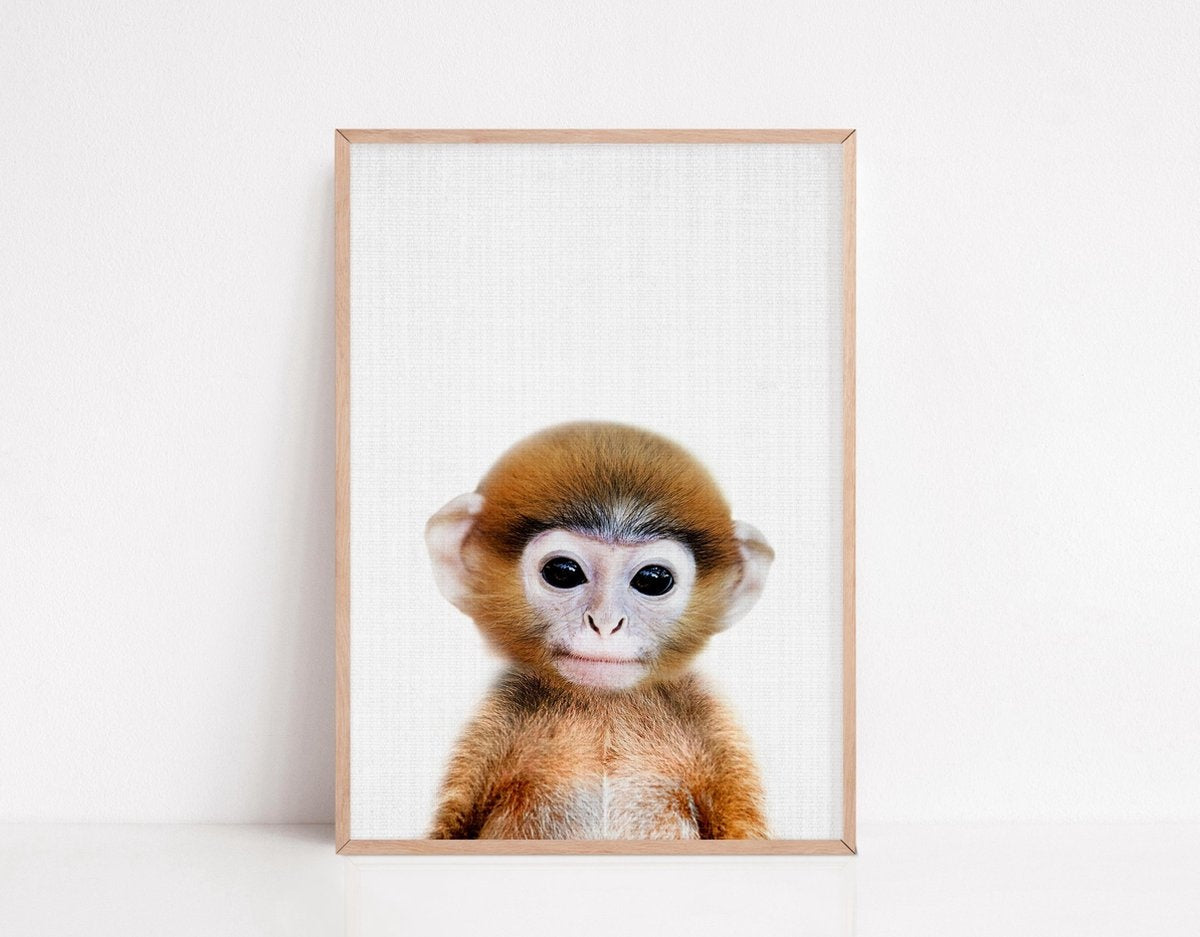 Generic - Tiere Poster - 6 Poster - 21x30 cm - Stabiles Papier - Safari