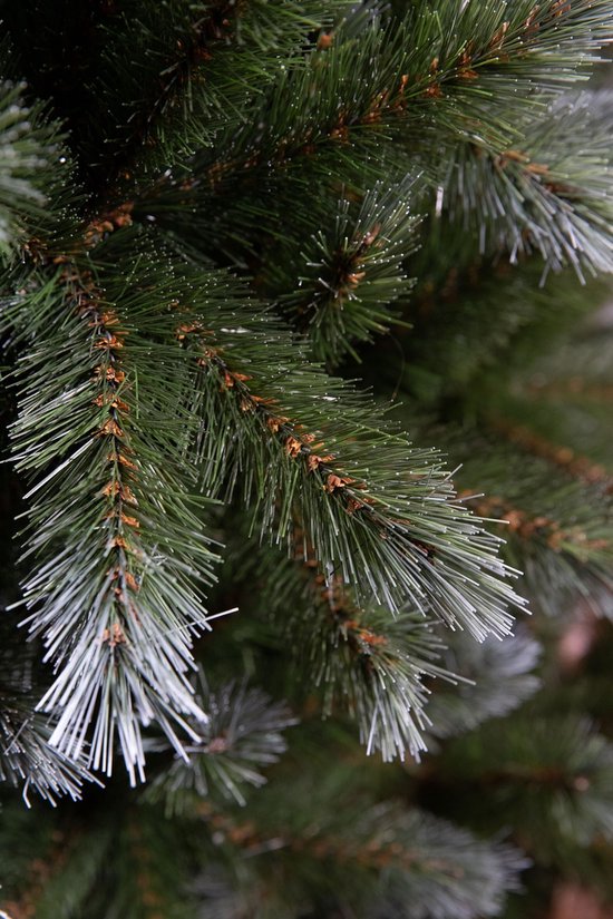 Triumph Tree Pittsburgh Kunstbaum Grün – Weihnachtsbaum mit üppiger Optik und 812 Zweigen – Weihnachtsdekoration für den Innenbereich – Rund mit Stecksystem – H 215 x Ø 117 cm