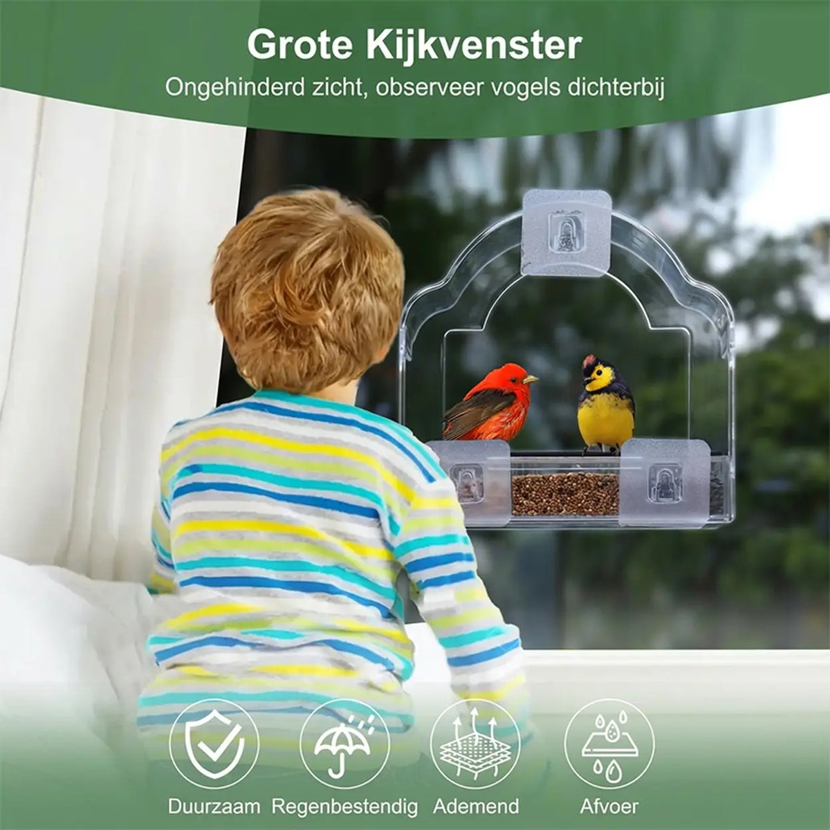 Blinkit 0162 Futterhäuschen für den Fensterrahmen – Acryl – 6 Saugnäpfe
