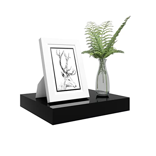 Woltu Volato Schwebendes Wandregal - Holz Glanz Schwarz - 30 x 22,8 x 3,8 cm