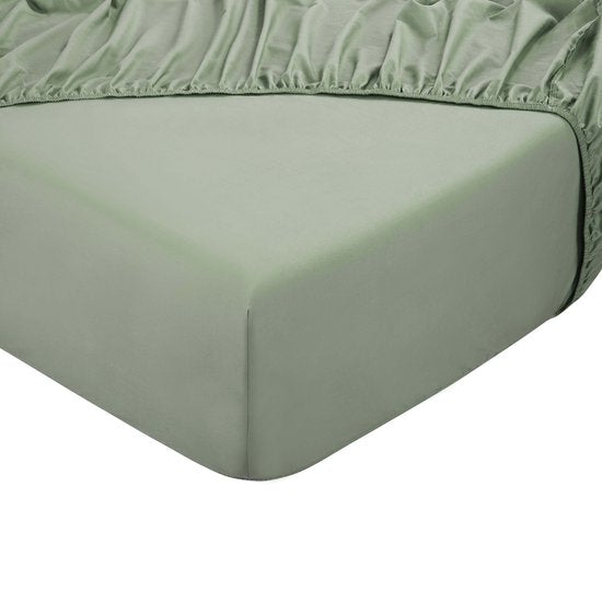 DoubleDry Spannbetttuch 100% natürliche Baumwolle - Doppelbett 180x200 cm - weich & atmungsaktiv - rundum elastisch - Altgrün