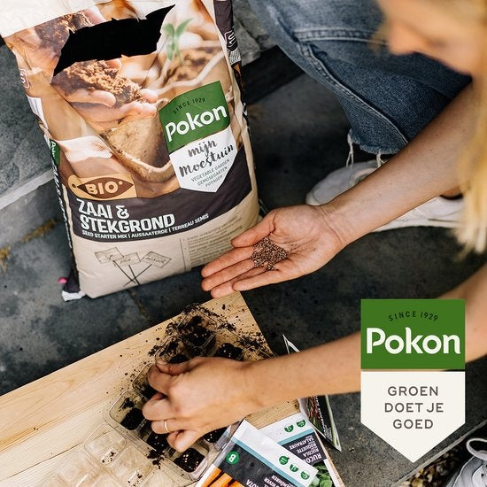 Pokon Bio Seed and Seedling Soil - 10l - Blumenerde (Bio) - Stimuliert die Wurzelentwicklung