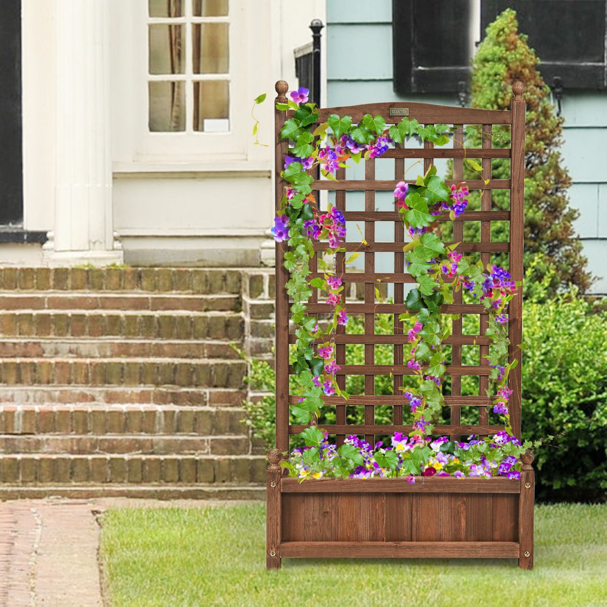 Coast Pflanzkübel mit Klettergitter – geräumiger Blumenkübel – massives Kiefernholz – dunkelbraun – 64,5 x 28 x 120 cm