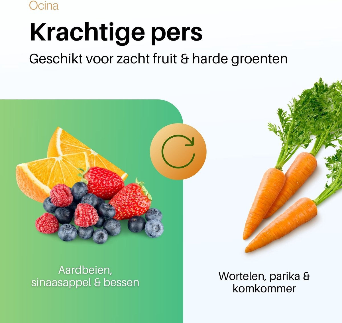 Ocina Slowjuicer - Entsafter für Gemüse und Obst - Trockenes Fruchtfleisch - Schwarz