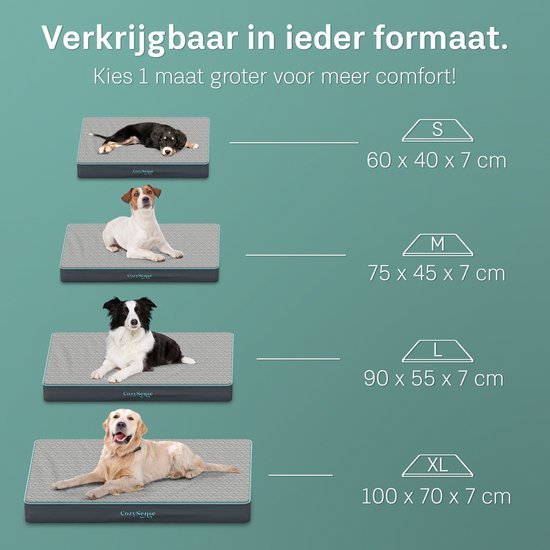 CozySense® - Orthopädisches Hundekissen 60 X 40 Cm - Größe S - Wasserdicht - Geeignet als Sitzkissen & Hundebett