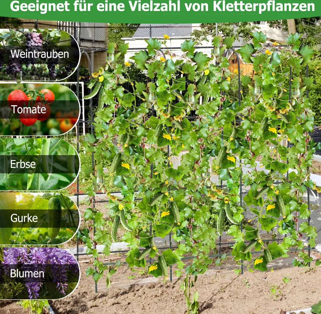 Coast Gurkenregal Schwarz - Verstellbares Pflanzenregal mit Netz - 179 x 32-65 x 180 cm