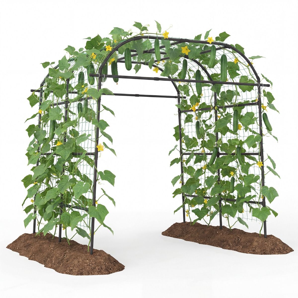 Coast Kletterpflanzenbogen – U-förmiges Gartengestell – Metallkonstruktion – Schwarz – 205,5 x 181 x 230 cm