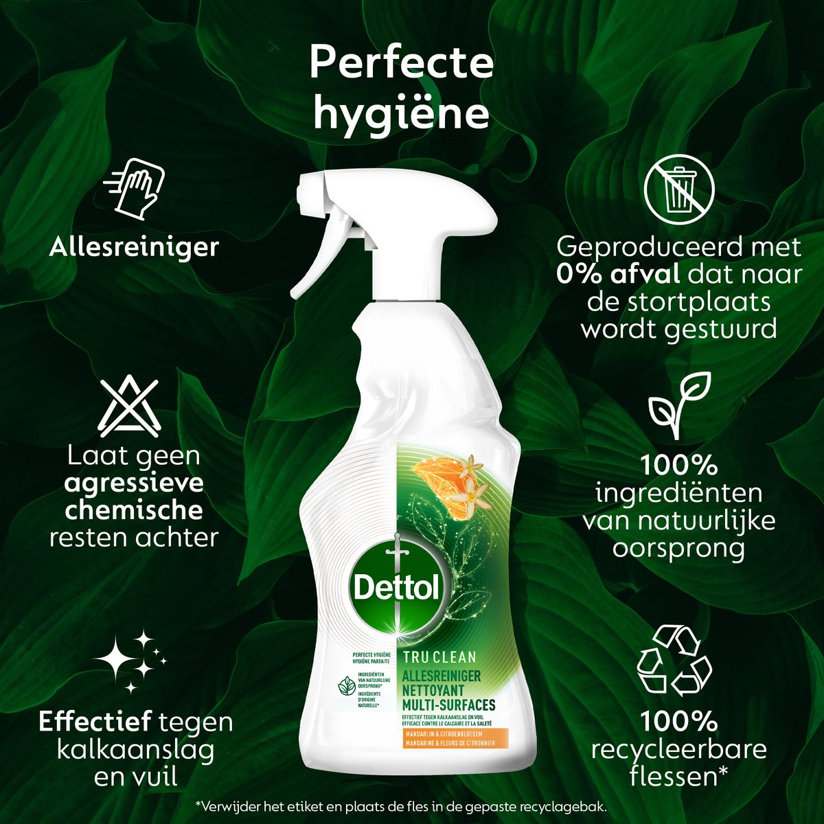 6er-Set Dettol Allzweckreiniger-Spray – Tru Clean – Mandarine & Zitronenblüte – 500 ml