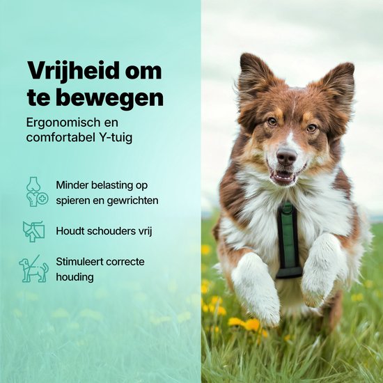 Jake und Jacky Hundegeschirr Hund Medium - Anti-Pull-Geschirr - Y-Geschirr Hund - Hundegeschirr - Grün - Größe M