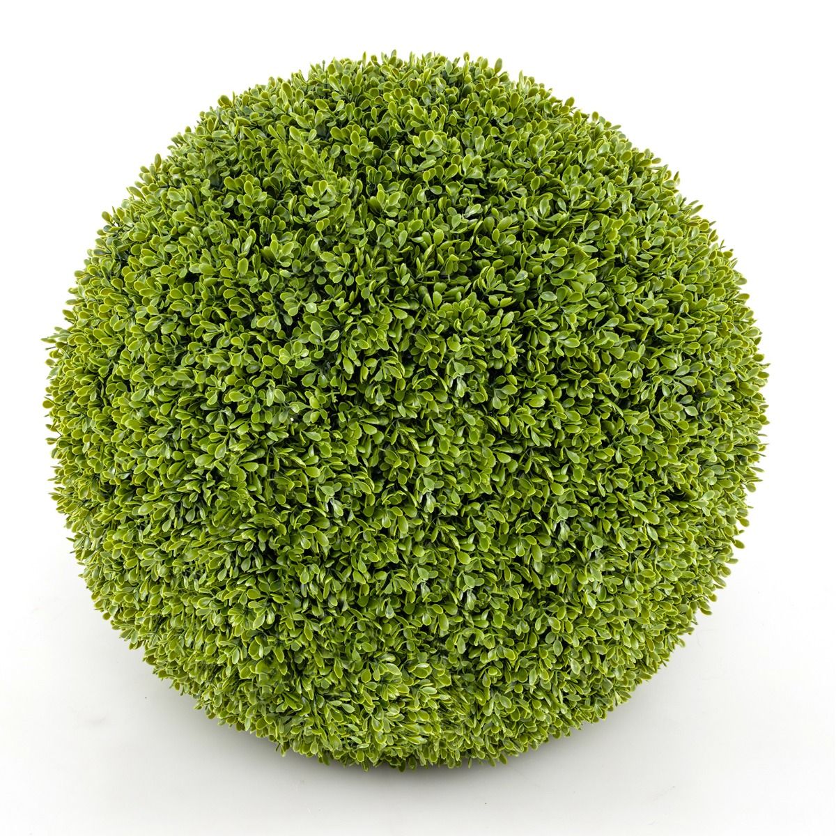 Coast 2 Stück Realistische Künstliche Buxusbirnen Ø 40 & 50 cm - UV- und wasserbeständig grün - Dekorative Buxuspflanzen für drinnen und draußen