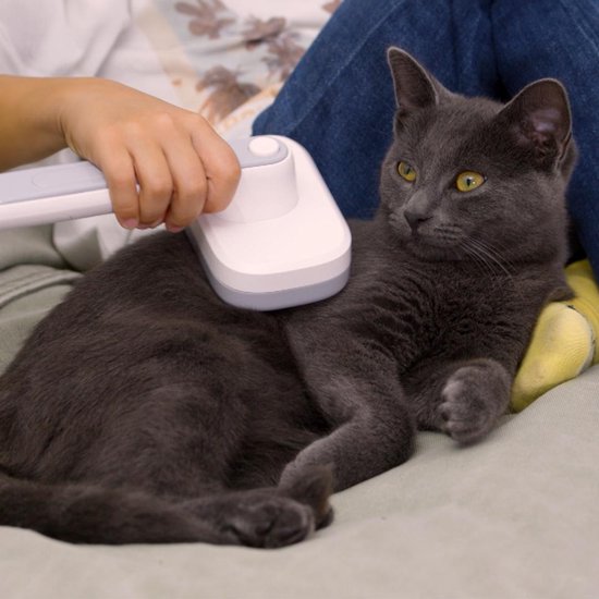 PiddiPet IonBrush Ionen-Tierhaarbürste – Selbstreinigend & batteriebetrieben – Fellpflege für Hunde & Katzen – Weniger statische Aufladung, glänzendes Fell – 2er-Pack