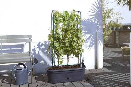 Elho Green Basics Veggie Wall 80 – Pflanzkasten – Vertikales Gärtnern – 100 % recycelter Kunststoff – Ø 77,5 x H 26,0 cm – Living Black