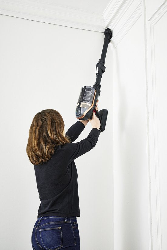Rowenta X-Force Flex 15.60 RH99F1WO – Staubsauger