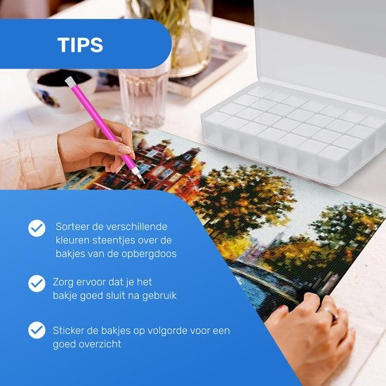 RubyeÂ® Diamantmalerei Zubehör Paket - Aufbewahrungsbox - Diamantmalerei Erwachsene - Roller - Stifte - Wachs - Shaker - Etui - Pinzette - Starter Pack
