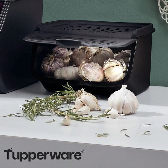 Tupperware GarlicSmart 2,3 l – Knoblauchbehälter – BPA-frei – Aufbewahrungsbehälter für Knoblauch – stapelbar – Keep-Fresh-Behälter – Knoblauch bleibt länger frisch