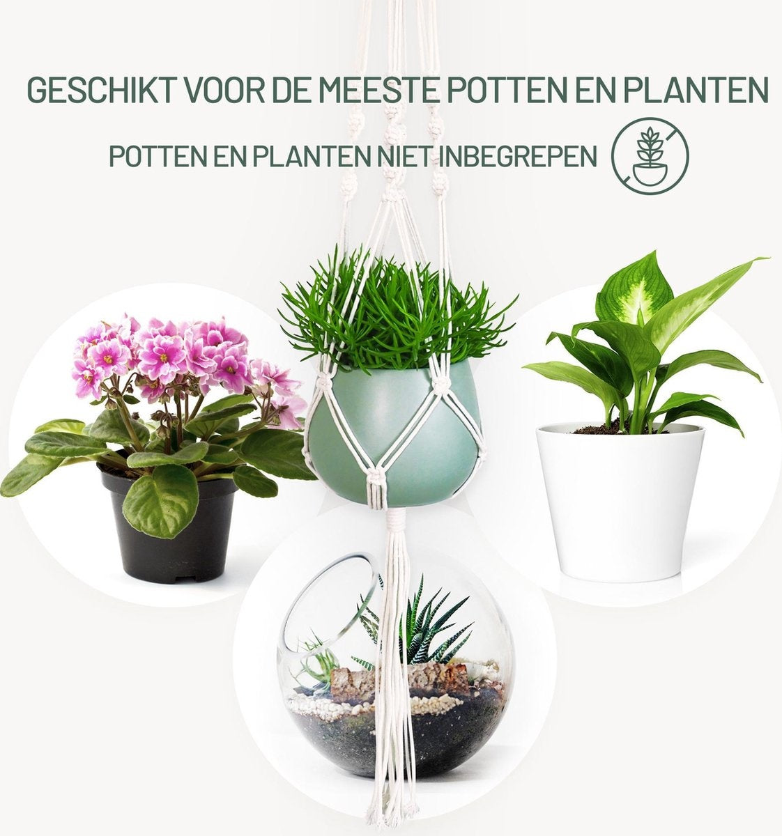 Gadgy Plant Hanger MacramÃ© - Luxus geflochtene Seil Baumwolle - 3 Stück - Blumentopf hängen - hängenden Topf
