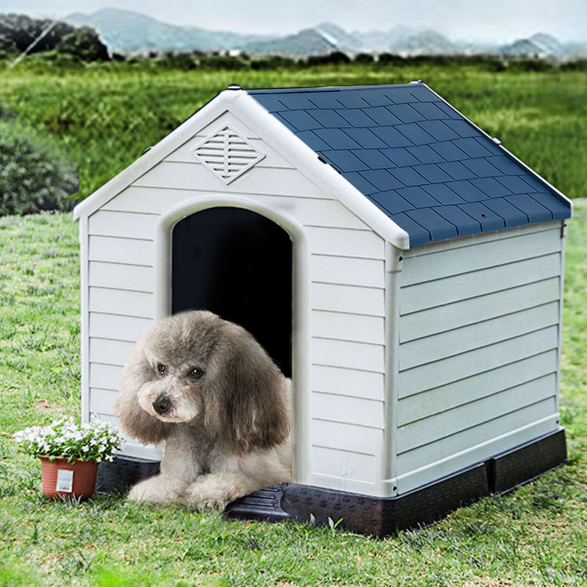 Coast Hundehütte Erhöht - Blau/Weiß - 70 cm x 65 cm x 71,5 cm