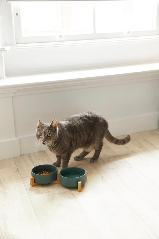 Fressnapf Katze und Hund Keramik - Fressnäpfe doppelt mit Ständer - Trinknapf - 2x 400 mL - Grün Matt
