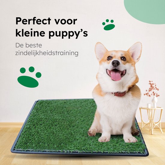 Gtrise Hundetoilette mit 2 Matten - Out/Indoor - Toilettentraining Ebook - Animal Toilet