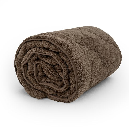 Sleeptime 2-in-1 Teddy Premium Bettdecke ohne Bezug – Bettdecke inklusive Kissenbezüge – 200 x 200 cm – Taupe/Braun