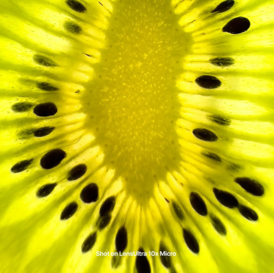Shiftcam LensUltra 10x Traditional Macro – 10-fache optische Vergrößerung – optisches Glas in DSLR-Qualität – M37-Gewinde – S.Mount