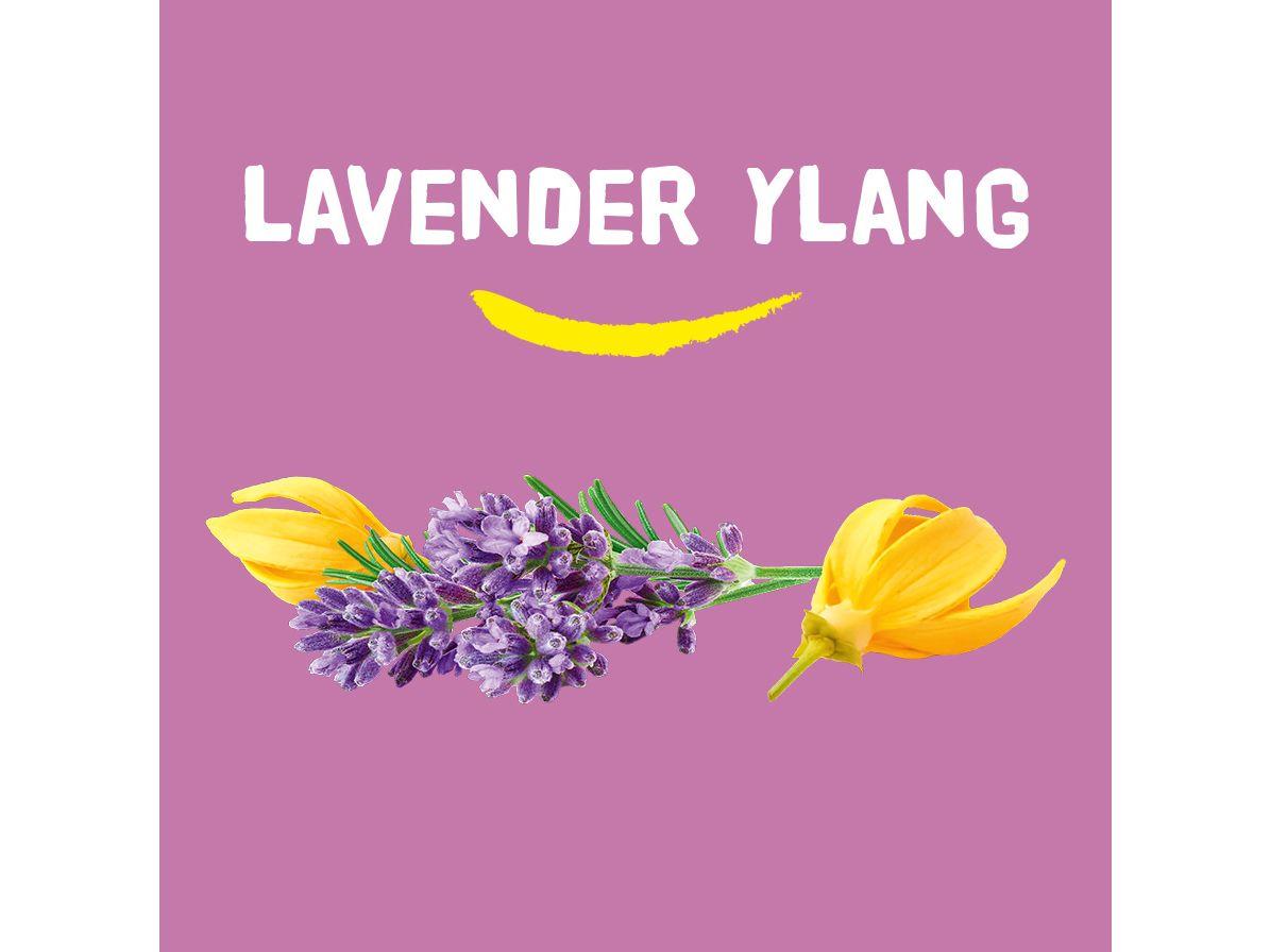 Happy Earth Duschseife „Natürlich“ – Lavendel & Ylang-Ylang – Vorteilspackung 6 x 90 Gramm