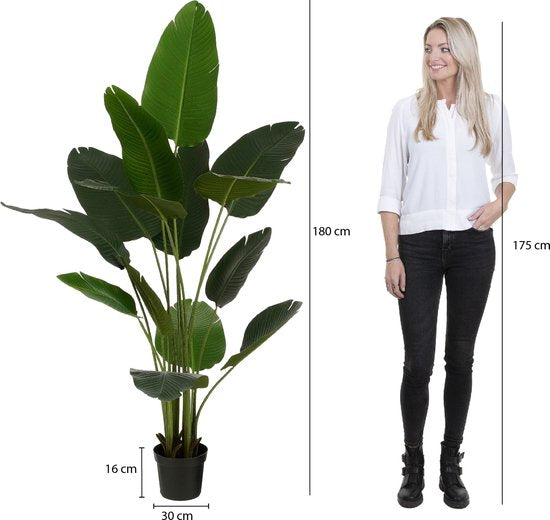 Mica Decorations Künstlicher Bananenbaum im Topf - H180 x Ø30 cm - Grün
